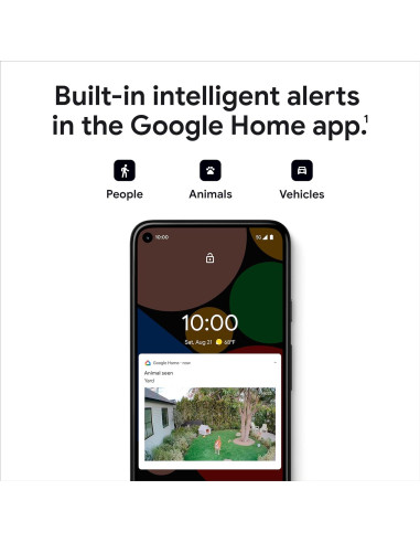 Cámara Nest Google 2 Gen Batería Exterior/Interior 720p