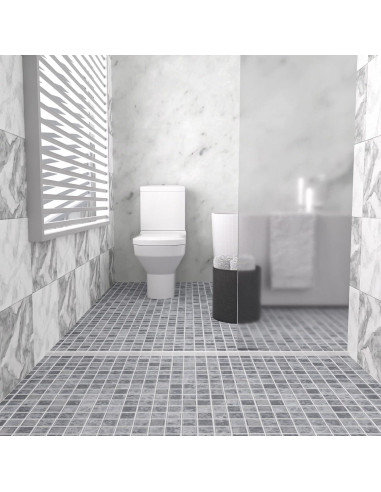 Barrera de agua plegable Raycity 99 cm transparente