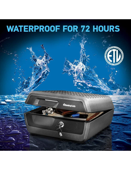 Caja Fuerte SentrySafe a Prueba de Fuego y Agua 0.36 Pies