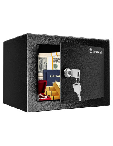 Caja de Seguridad Bonsaii de Acero 0.23 Pies con Llave