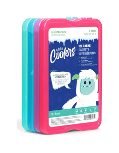 Paquete de Hielo XL Reutilizable Fit & Fresh 4 Piezas 2