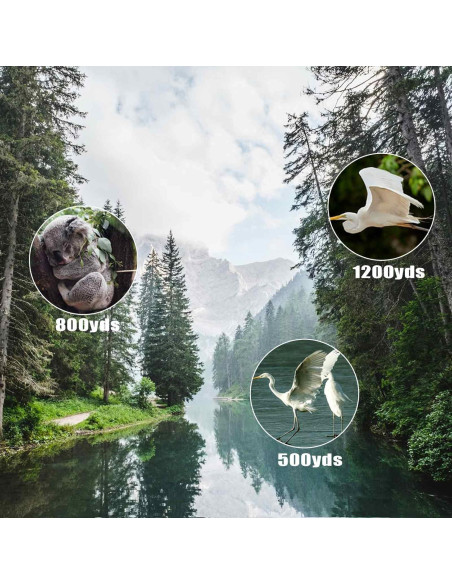 Monocular Compacto BUCAEEL 50mm Alta Potencia Negro