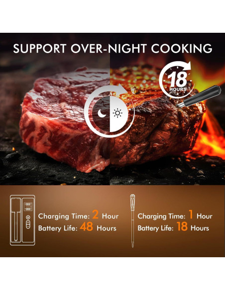 Termómetro Digital Inalámbrico CaloriMastery para Carne