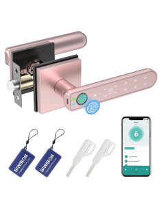 Cerradura Biométrica con Huella Dactilar BIWIBON BCA-02