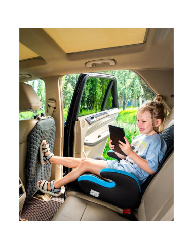 Protector de Asiento de Coche Owleys CSPblack01 Negro Impermeable