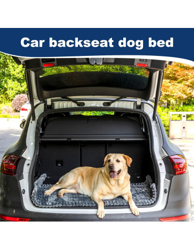 Alfombrilla Antideslizante para Mascotas ECAPTROD 63x137 cm