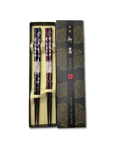 Palillos Japoneses Premium Terra 23 cm Set 2pcs Lacados