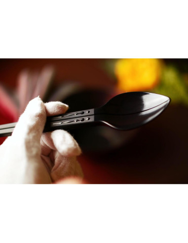 Palillos bidireccionales Spinthira con cuchara y bolsa 2024