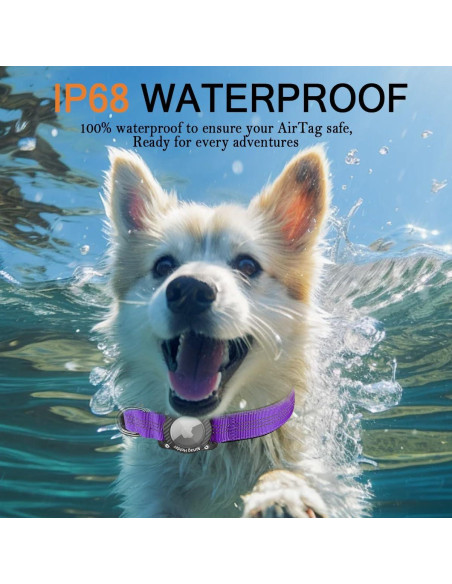 Collar para Perro AgoumLux AirTag S Púrpura Impermeable