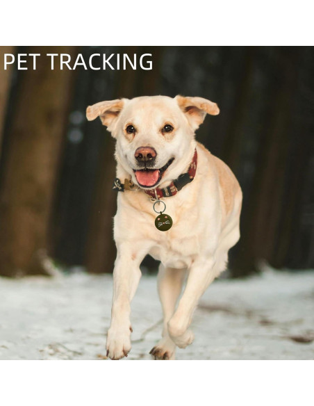 Funda de Silicona para Apple AirTag con Llavero - Fciisrv