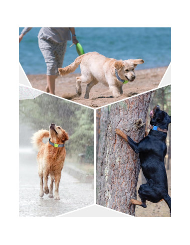 Soporte de Collar para Airtag Dynmeow Rosa Mediano