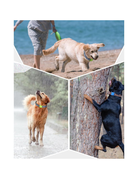 Soporte de Collar para Airtag Dynmeow Rosa Mediano