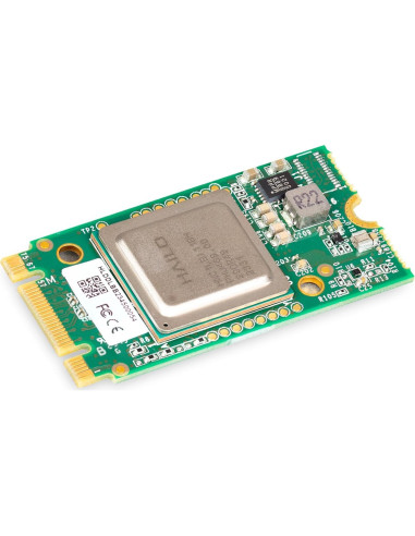 Kit de IA Raspberry Pi M.2 HAT+ con Módulo Hailo AI