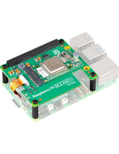 Kit de IA Raspberry Pi M.2 HAT+ con Módulo Hailo AI