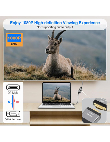 Adaptador DisplayPort a VGA 2 Pack Purcopper 1080P 60Hz