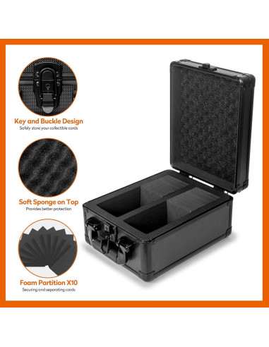 Caja de Almacenamiento para Tarjetas Old Canal 2 Filas 250 Cargas