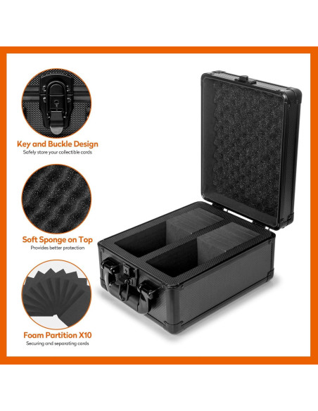 Caja de Almacenamiento para Tarjetas Old Canal 2 Filas 250 Cargas