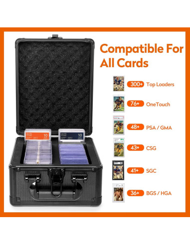 Caja de Almacenamiento para Tarjetas Old Canal 2 Filas 250 Cargas