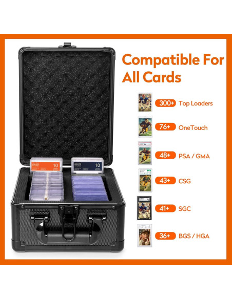 Caja de Almacenamiento para Tarjetas Old Canal 2 Filas 250 Cargas