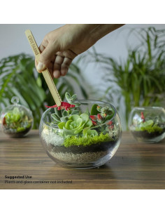 Kit de Inicio para Terrario Cute Farms - Musgo, Tierra y Herramientas 2