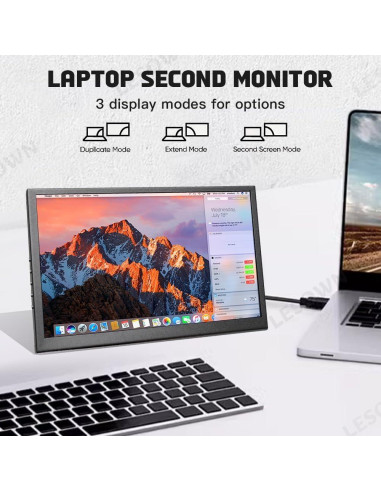 Monitor Portátil IPS 10.1" LESOWN HDMI 1024x600 Brillo 300cd/m2