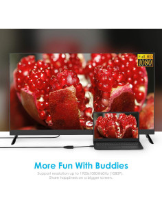 Adaptador HDMI a VGA LENTION 1080P Plug and Play Negro 2