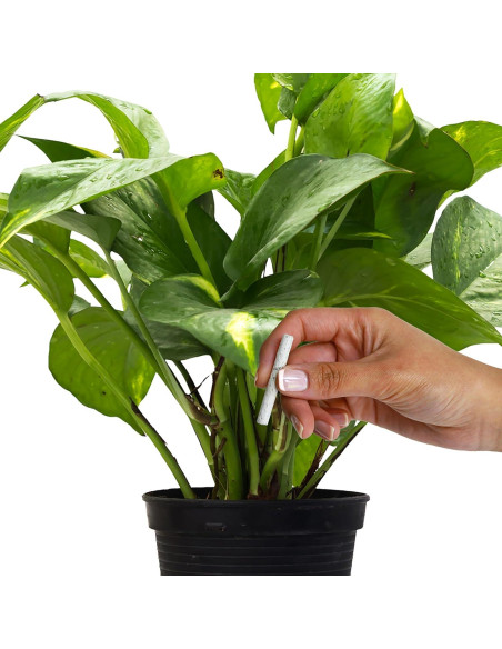 Abono para Plantas Florales Jobe's 10-10-4 en Picos 50 Unidades