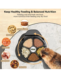 Dispensador Automático de Comida Húmeda UBPet F10 5 Comidas 2