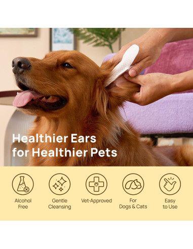 Toallitas Limpiadoras para Oídos HICC PET 50 Unidades Aroma Coco