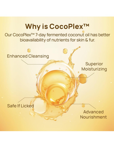 Toallitas Limpiadoras para Oídos HICC PET 50 Unidades Aroma Coco