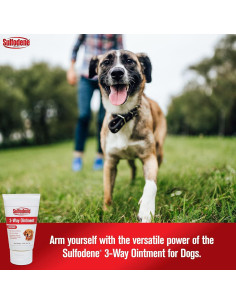 Ungüento para heridas de perro Sulfodene 56.7g - Alivio y protección 2