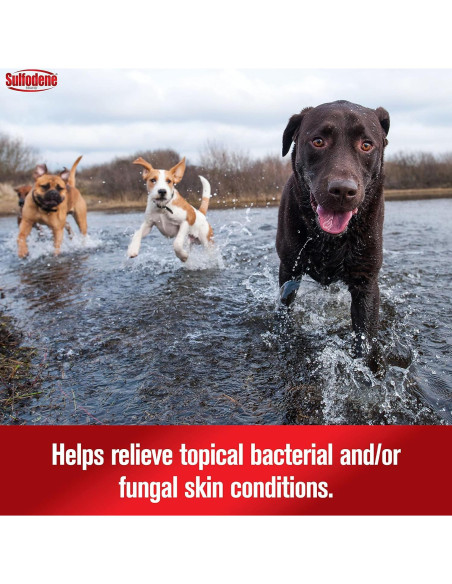 Ungüento para heridas de perro Sulfodene 56.7g - Alivio y protección
