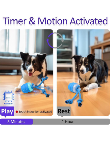 Juguete Interactivo para Perros LEPLE L04 Azul - Bola Squeaky