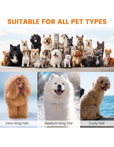 Aspiradora Acicalamiento Mascotas ubrobo PG10 12000Pa Bajo Ruido