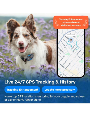 Rastreador GPS para Perros DBDD, Impermeable, AI, Negro