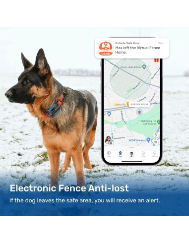 Rastreador GPS para Perros DBDD, Impermeable, AI, Negro