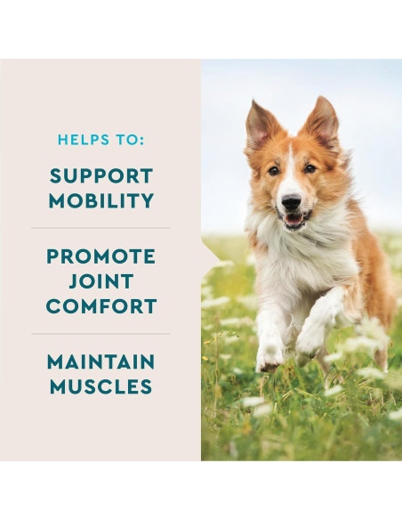 VetIQ Advanced Hip & Joint para Perros Sabor Pollo 60 Unidades