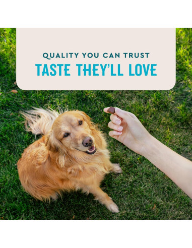 VetIQ Advanced Hip & Joint para Perros Sabor Pollo 60 Unidades