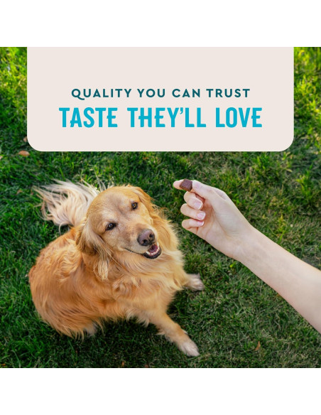 VetIQ Advanced Hip & Joint para Perros Sabor Pollo 60 Unidades