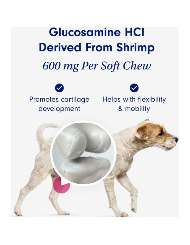 Masticables para Articulaciones de Perros PetLab Co. - 330g