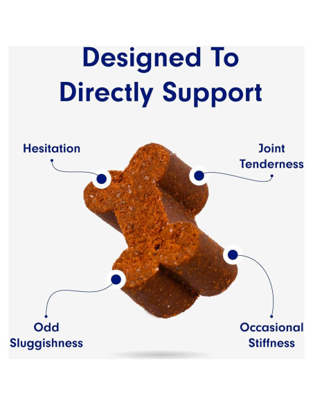 Masticables para Articulaciones de Perros PetLab Co. - 330g