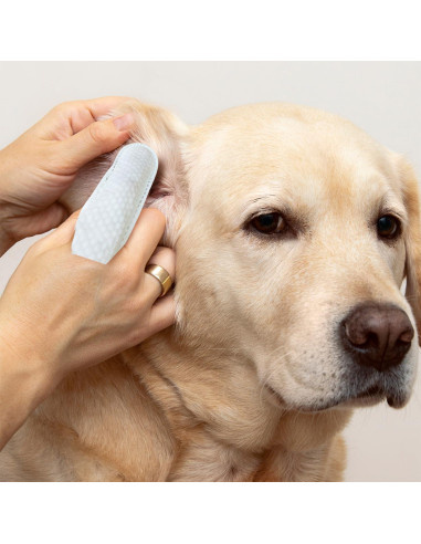 Toallitas Limpiadoras para Oídos de Perros Paw Science - Aroma Coco
