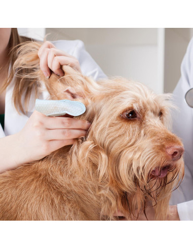 Toallitas Limpiadoras para Oídos de Perros Paw Science - Aroma Coco