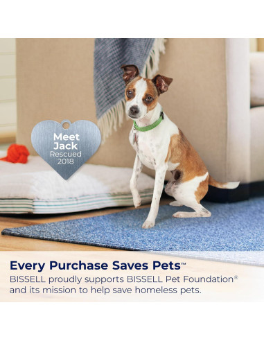 Limpiador Portátil de Alfombras BISSELL Little Green Max Pet