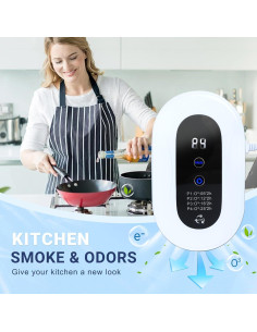 Purificador de aire ionizador Cc-JHQ para mascotas y hogar 2