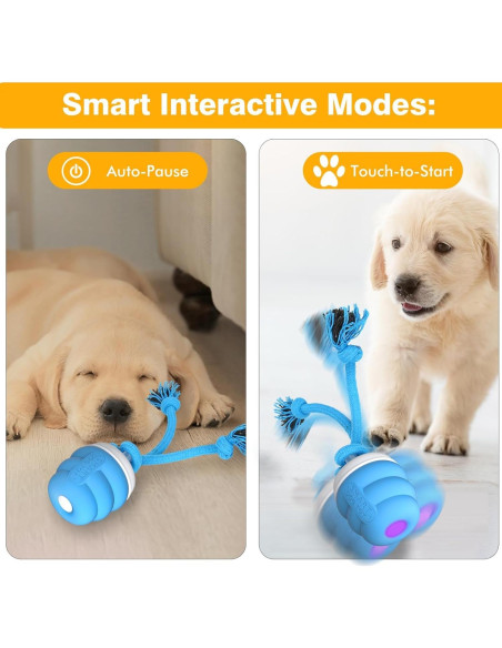 Bola Interactiva para Perros PUHOHUN - Juguete Automático Azul