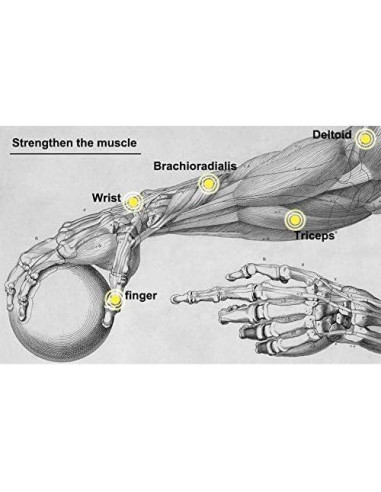 Bola de Giroscopio Parallel Halo 7.62 cm para Ejercicio de Muñeca