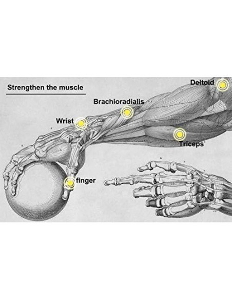 Bola de Giroscopio Parallel Halo 7.62 cm para Ejercicio de Muñeca