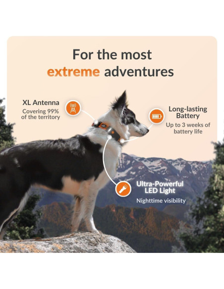 Collar GPS para Perros Weenect XT - Impermeable y Durable