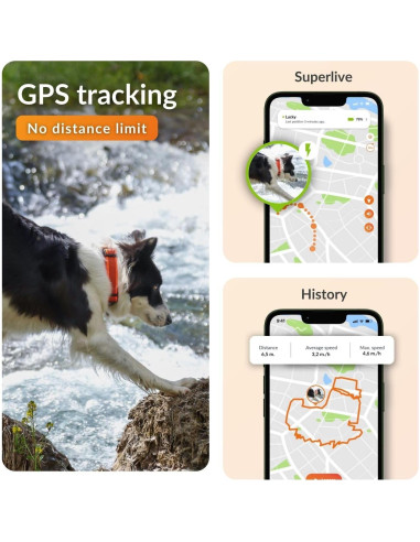 Collar GPS para Perros Weenect XT - Impermeable y Durable
